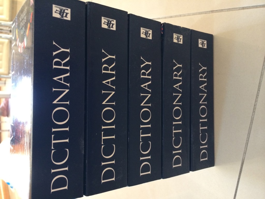 Dictionary *BRAND NEW*